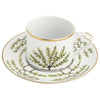 White Charlotte Moss Espalier Gold - Teacup Saucer