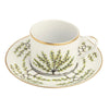 White Charlotte Moss Espalier Gold - Teacup Saucer - Pickard China - WCMESGO-019-CN